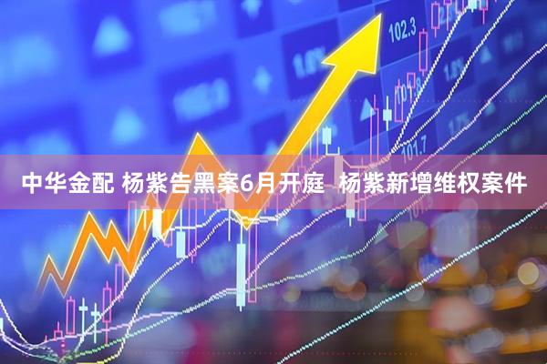 中华金配 杨紫告黑案6月开庭  杨紫新增维权案件