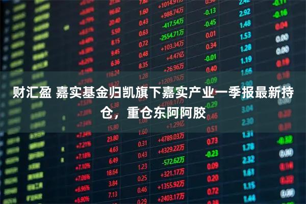 财汇盈 嘉实基金归凯旗下嘉实产业一季报最新持仓，重仓东阿阿胶