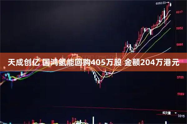 天成创亿 国鸿氢能回购405万股 金额204万港元