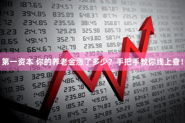 第一资本 你的养老金涨了多少？手把手教你线上查！